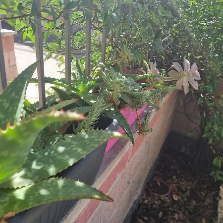 L'angolo Del Lido Delle Farfalle Apartamento *