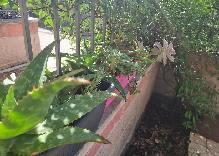 L'angolo Del Lido Delle Farfalle アパート *